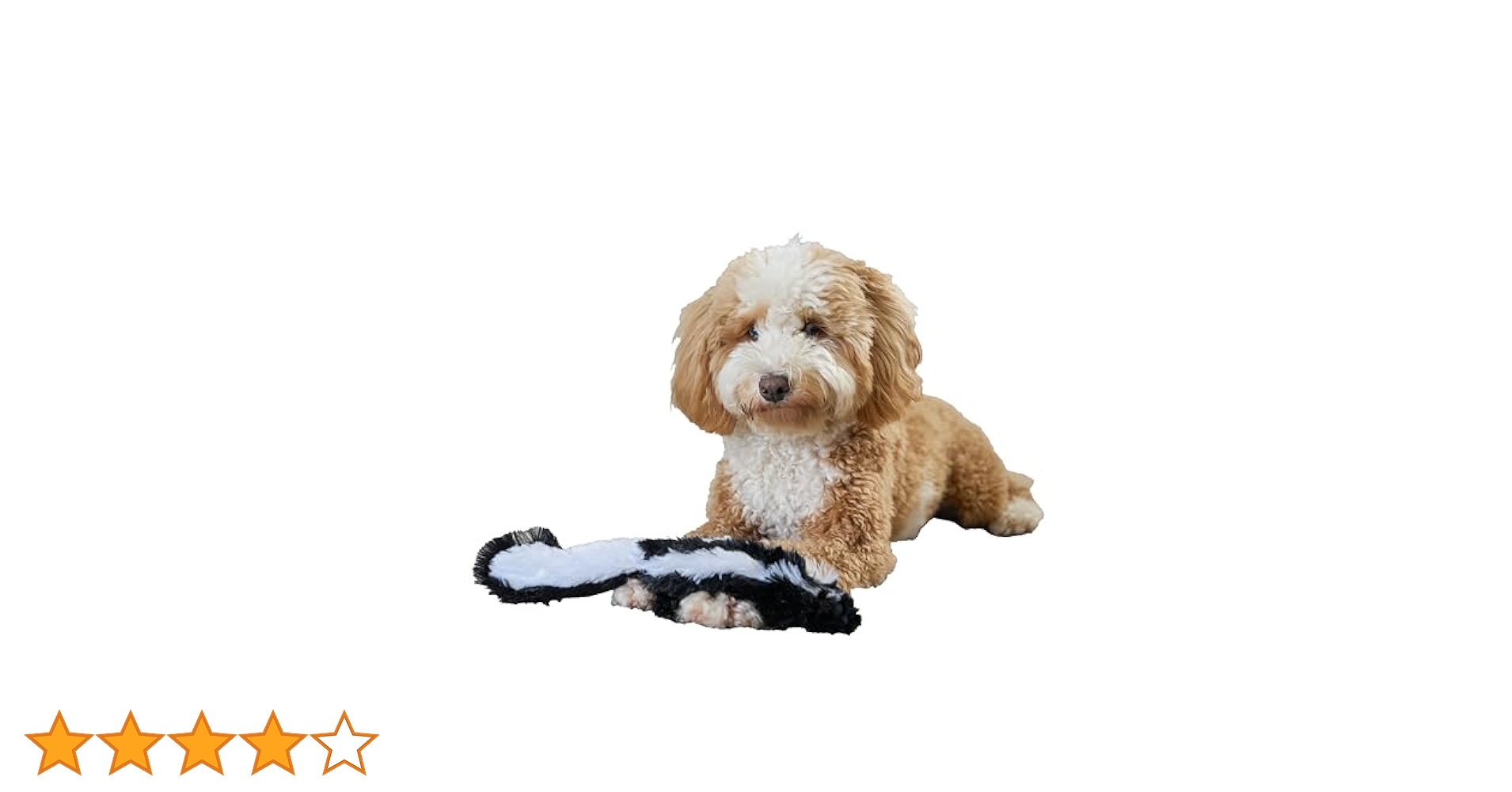 犬 Pet Select by Nihonikuji ペットセレクト(公式) ペット ゲート